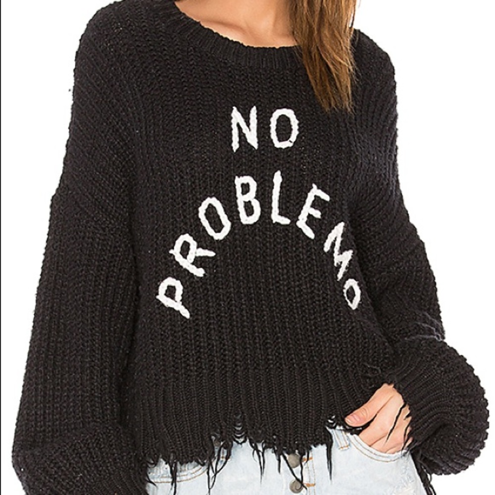 🦄ISO🦄 WILDFOX NO PROBLEMO SWEATER